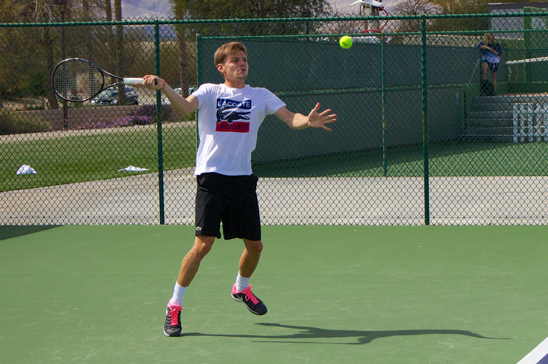David Goffin - © Pluckytree (www.flickr.com)