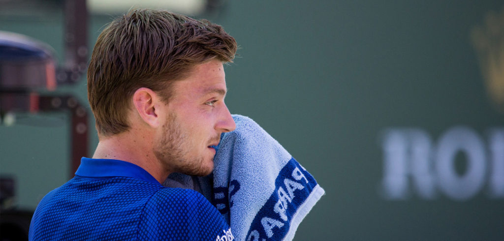 David Goffin - © Beth Wilson (flickr)