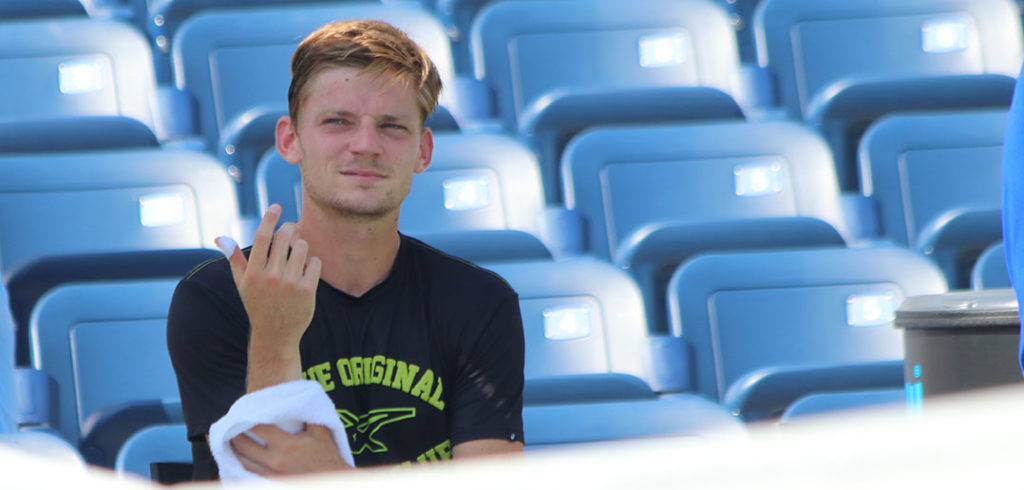 David Goffin - © Tani