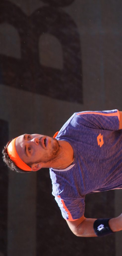 Marco Cecchinato - © Dacoucou (Wikimedia Commons)