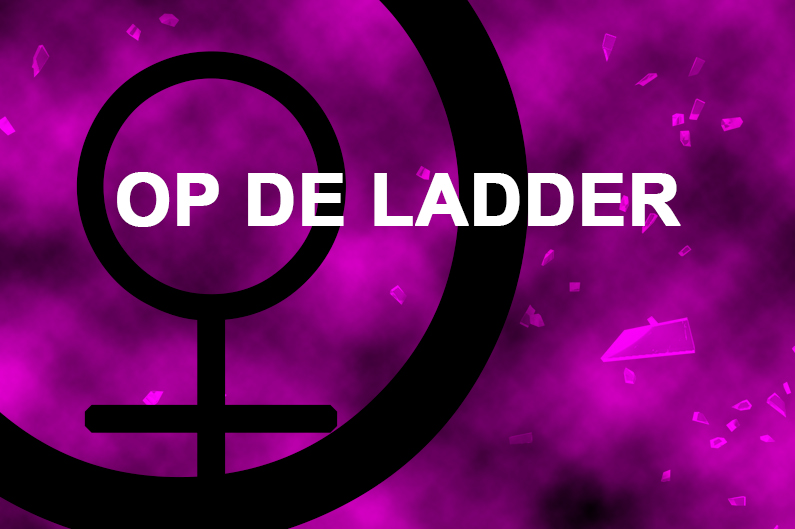 Op de ladder