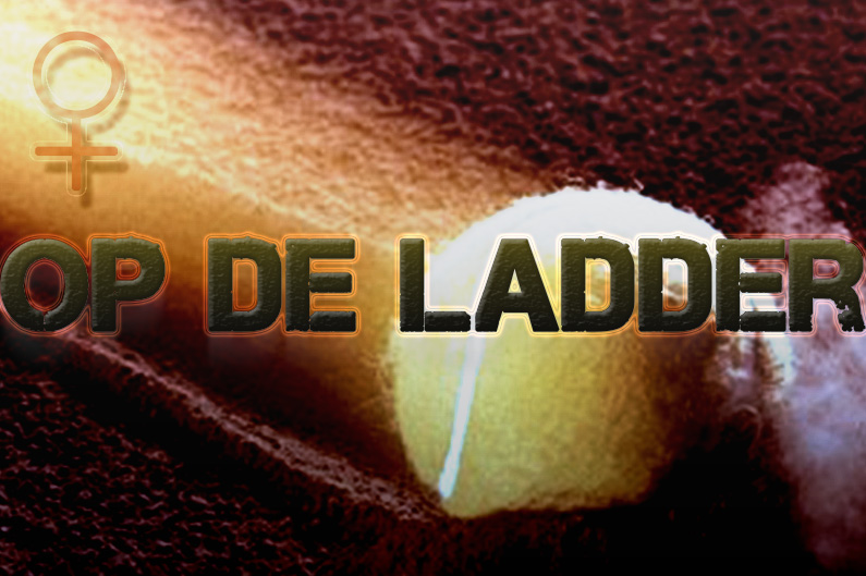 Op de ladder (v)