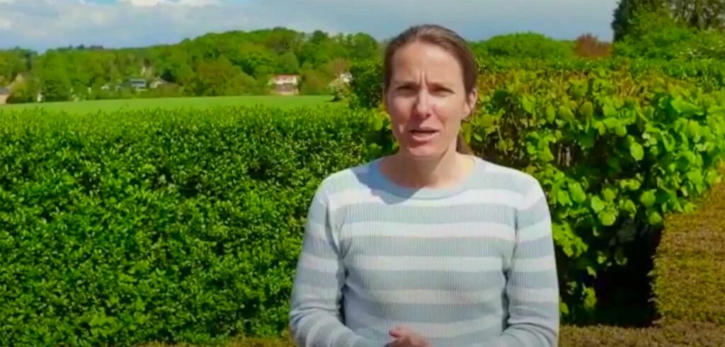 Justine Henin - © AFT (YouTube)